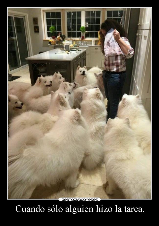 Cuando sólo alguien hizo la tarea. - 