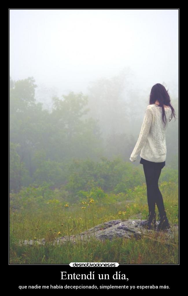 Entendí un día, - que nadie me había decepcionado, simplemente yo esperaba más.