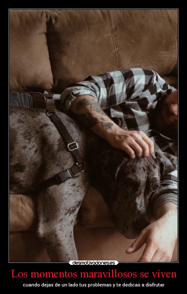 Los momentos maravillosos se viven - 