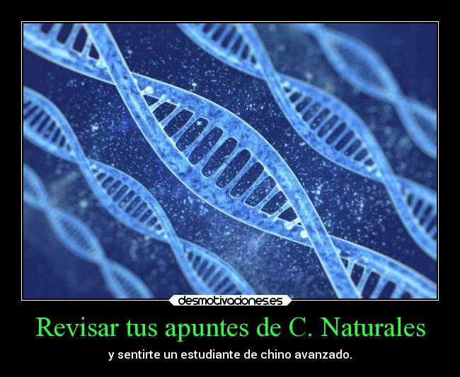Revisar tus apuntes de C. Naturales - y sentirte un estudiante de chino avanzado.