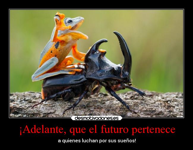 carteles desmotivaciones tonto humor graciosas tonteriasde soyunidiotatm projectd superclan desmotivaciones