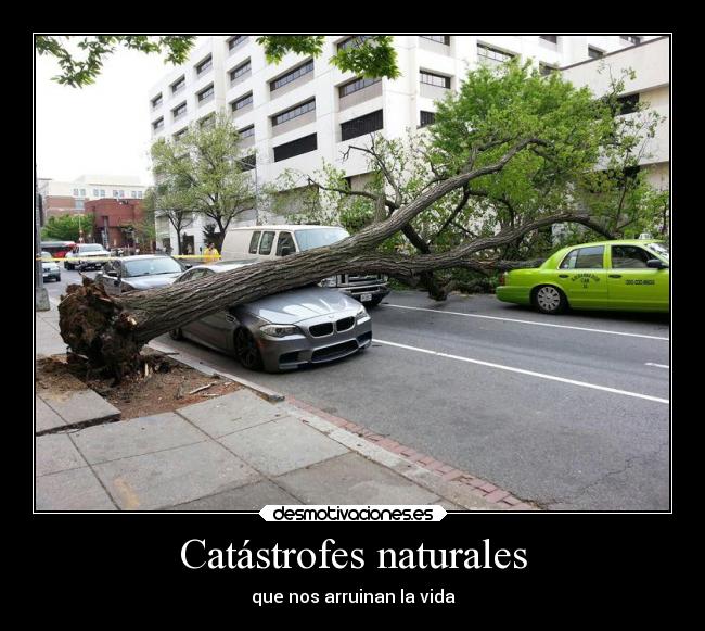Catástrofes naturales - 