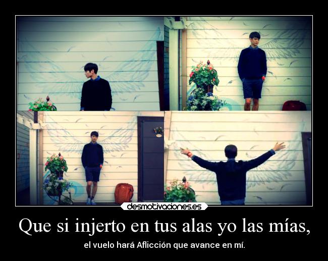 carteles destino desmotivaciones deseos confianza corazon alegria amor suenos choiminho minho desmotivaciones