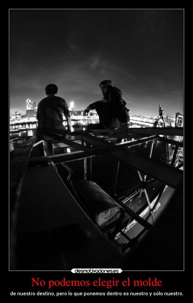 carteles destino muerte vida desmovip leoncito desmotivaciones