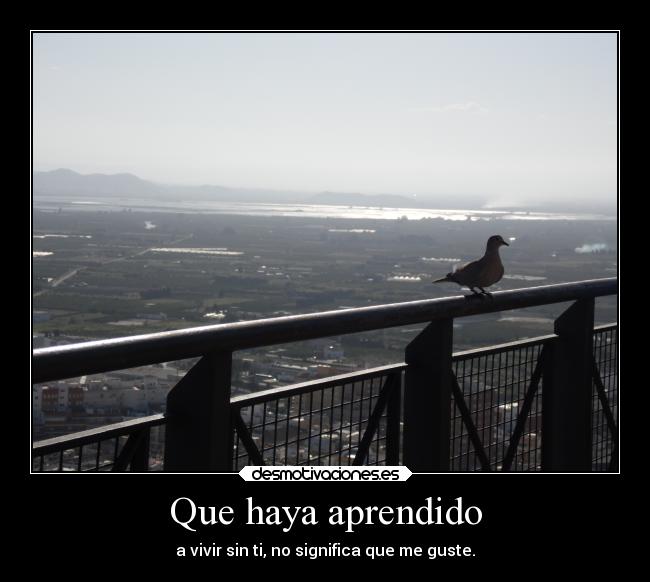 Que haya aprendido - a vivir sin ti, no significa que me guste.