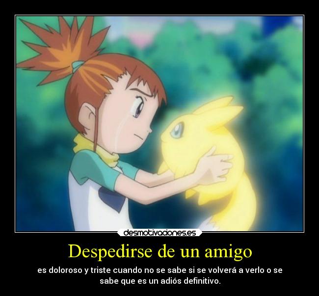 Despedirse de un amigo - es doloroso y triste cuando no se sabe si se volverá a verlo o se
sabe que es un adiós definitivo.