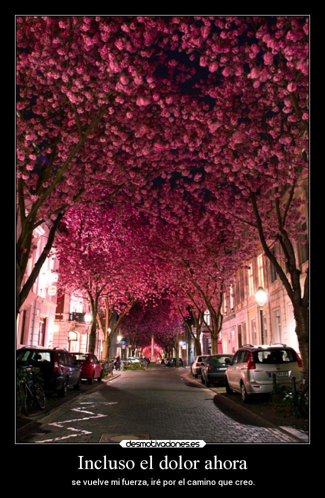 carteles dolor alma malthael tsukiakari desmotivaciones