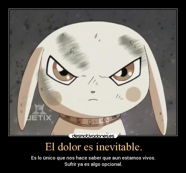 El dolor es inevitable. - Es lo único que nos hace saber que aun estamos vivos.
Sufrir ya es algo opcional.