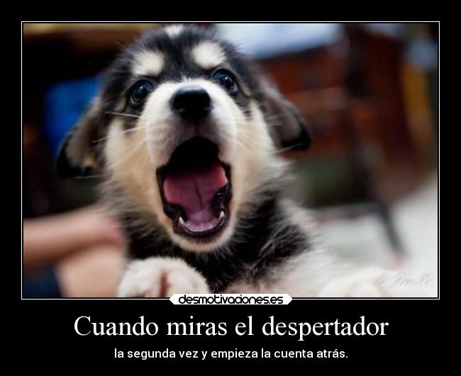 Cuando miras el despertador - la segunda vez y empieza la cuenta atrás.