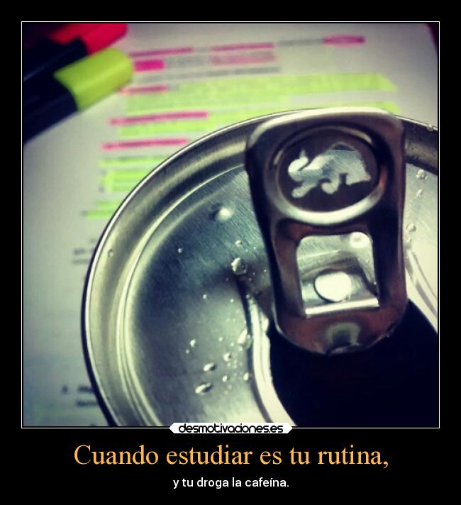 carteles dormir desmotivaciobes estudiar trabajar cafe cafeina rutina sueno desmotivaciones