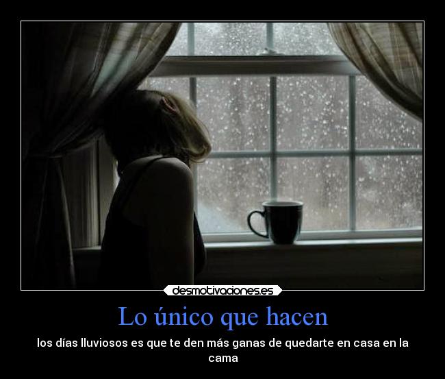 Lo único que hacen -