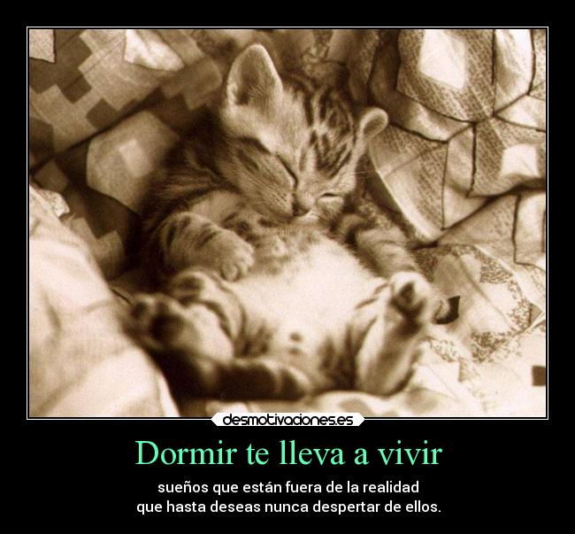 Dormir te lleva a vivir - 