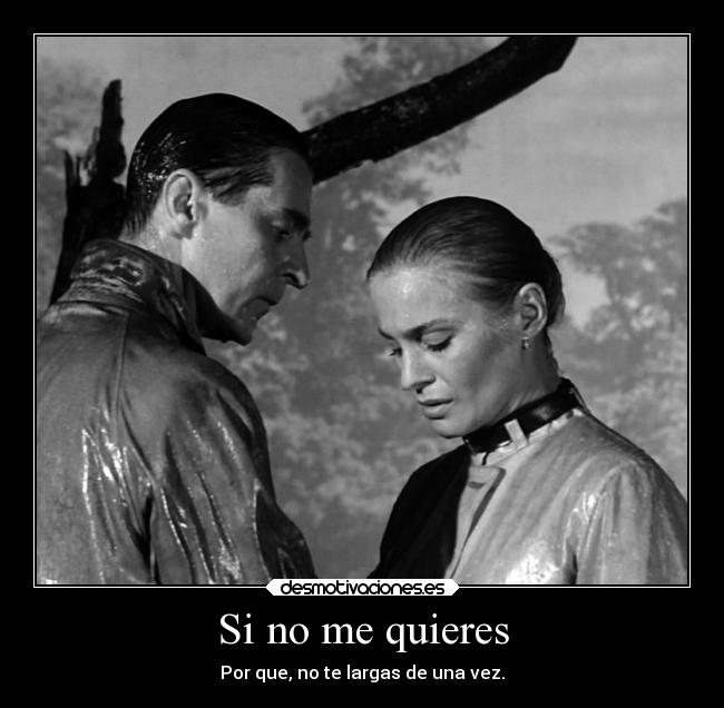 carteles enfados separaciones partida largateynovuelvas desmotivaciones