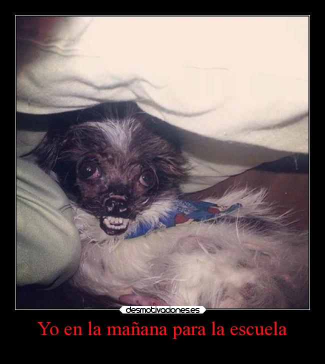 Yo en la mañana para la escuela -