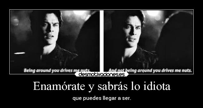 Enamórate y sabrás lo idiota - que puedes llegar a ser.