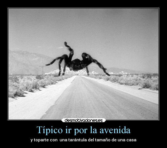 Típico ir por la avenida - 