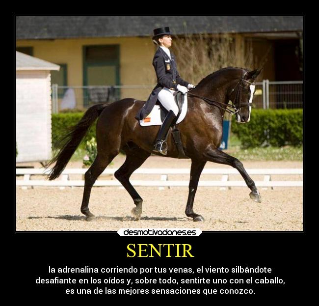 SENTIR - la adrenalina corriendo por tus venas, el viento silbándote
desafiante en los oídos y, sobre todo, sentirte uno con el caballo,
es una de las mejores sensaciones que conozco.