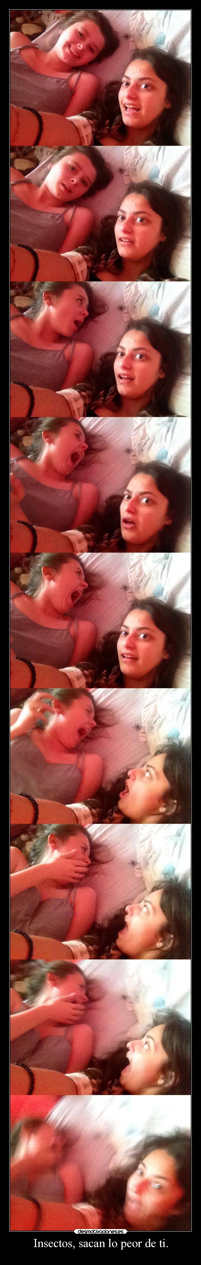 Insectos, sacan lo peor de ti. - 