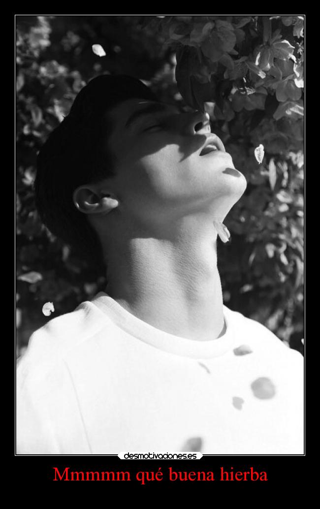 Mmmmm qué buena hierba - 