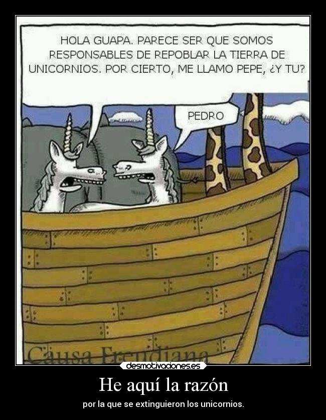 He aquí la razón - 