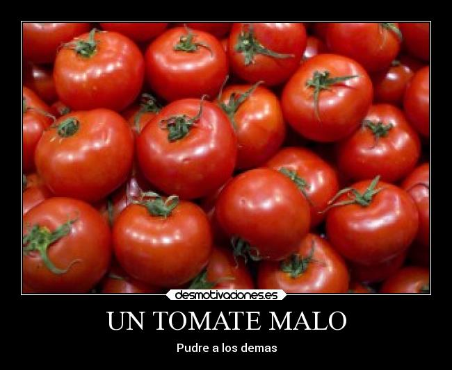 UN TOMATE MALO - Pudre a los demas