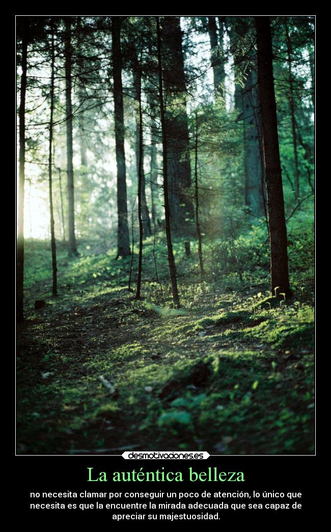 La auténtica belleza - no necesita clamar por conseguir un poco de atención, lo único que
necesita es que la encuentre la mirada adecuada que sea capaz de
apreciar su majestuosidad.