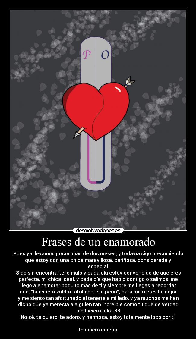 Frases de un enamorado - 