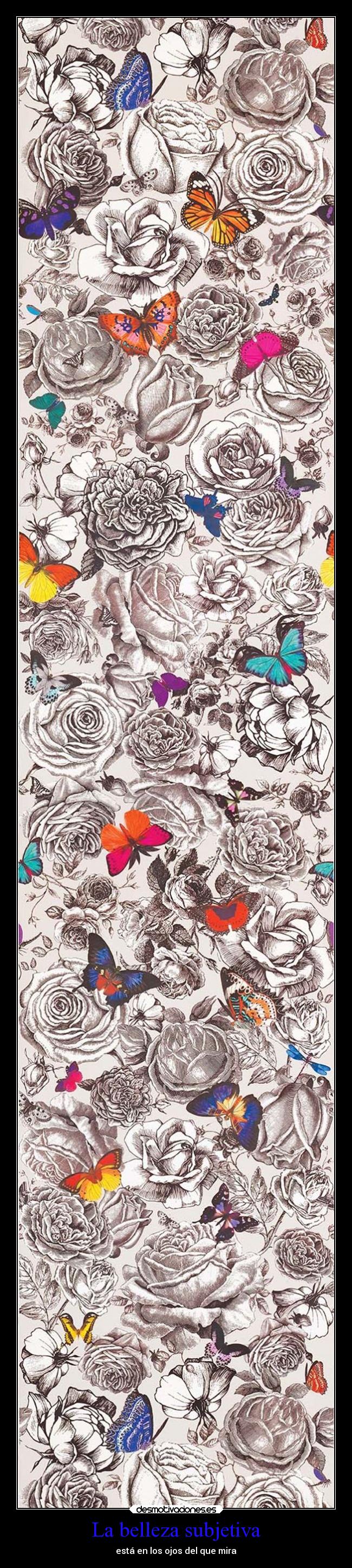 carteles frases bonitas santalucia belleza desmotivaciones