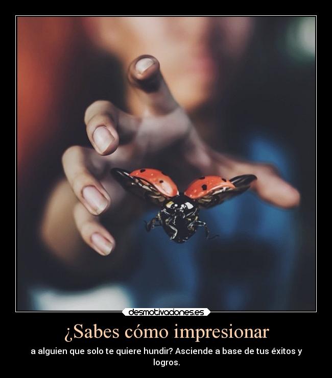carteles frases confianza caracter imagenes bleachfilm desmotivaciones