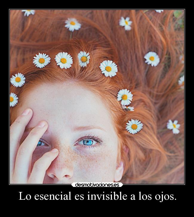 carteles frases elektry esencial invisible desmotivaciones