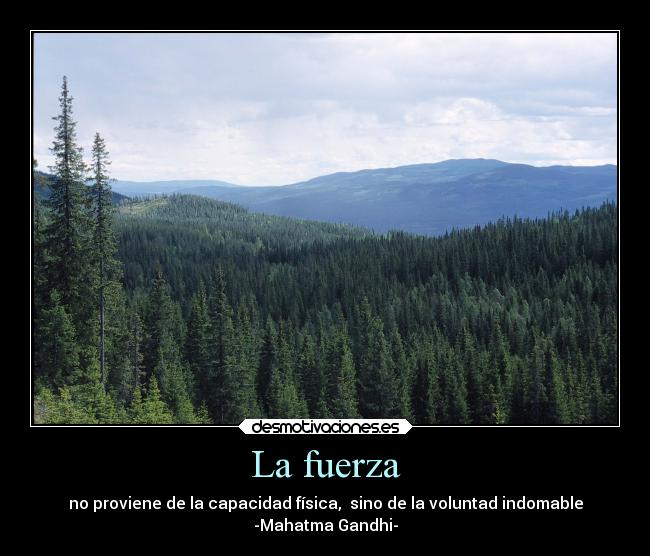 La fuerza - no proviene de la capacidad física, sino de la voluntad indomable
-Mahatma Gandhi-