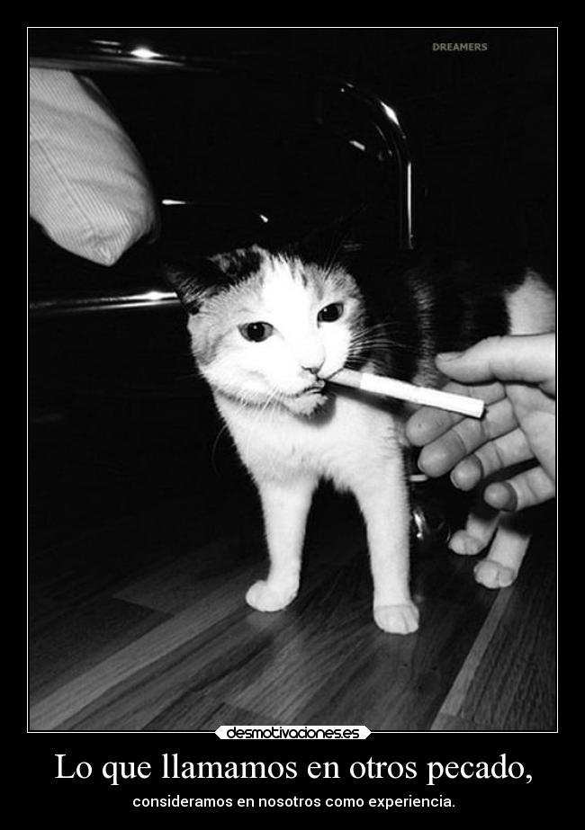 Lo que llamamos en otros pecado, - consideramos en nosotros como experiencia.