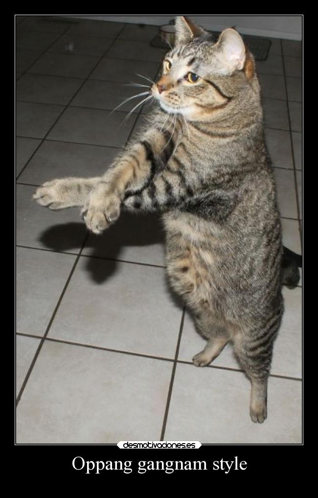 Oppang gangnam style -