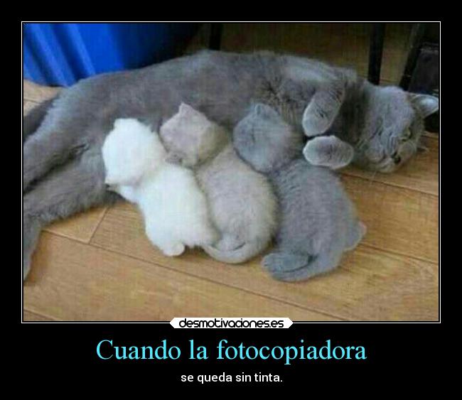Cuando la fotocopiadora -