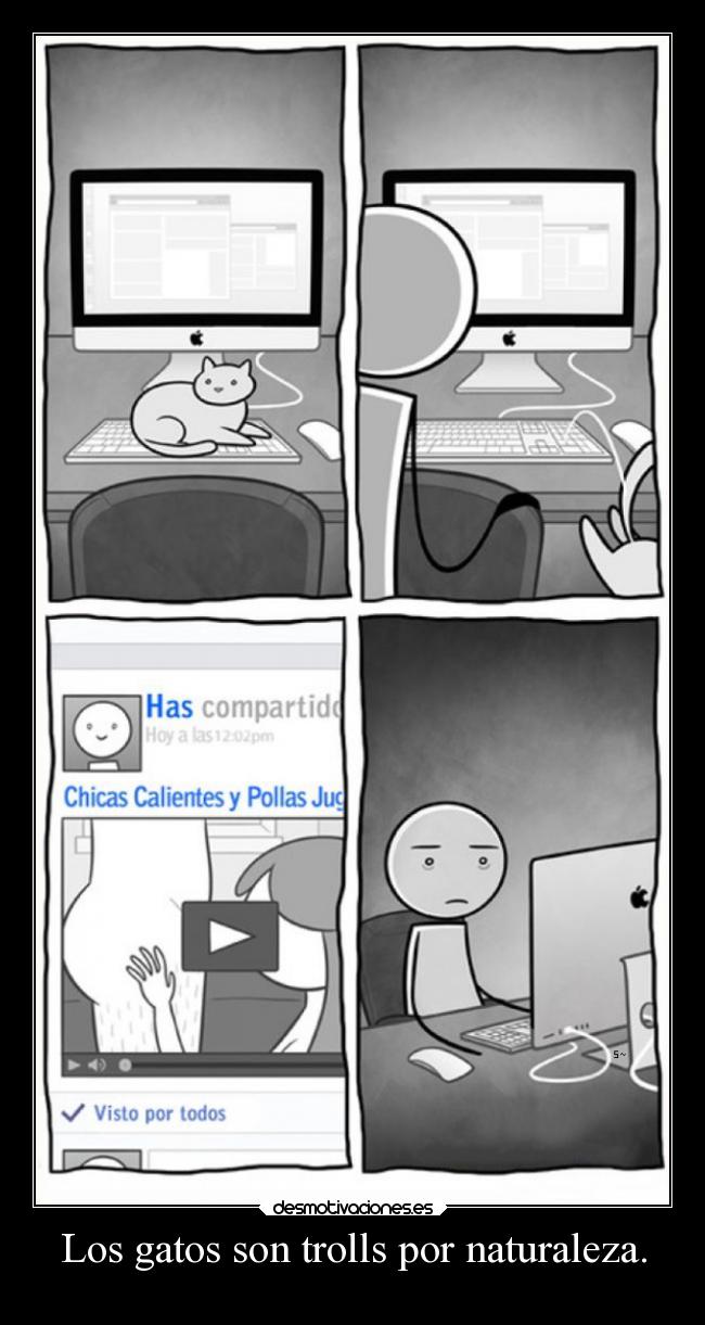 carteles gatos naturaleza humor gatos graciosas troll redesociales video ojalaqueshueva rilacs desmotivaciones