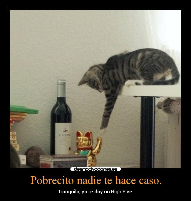 Pobrecito nadie te hace caso. - Tranquilo, yo te doy un High Five.