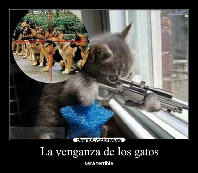 La venganza de los gatos - 