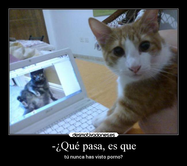-¿Qué pasa, es que - 