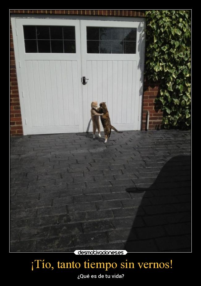 ¡Tío, tanto tiempo sin vernos! - 
