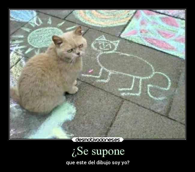 ¿Se supone -