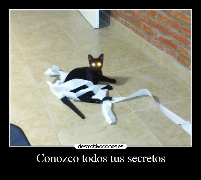 carteles graciosas humor simpsons vida gatos animales desmotivaciones