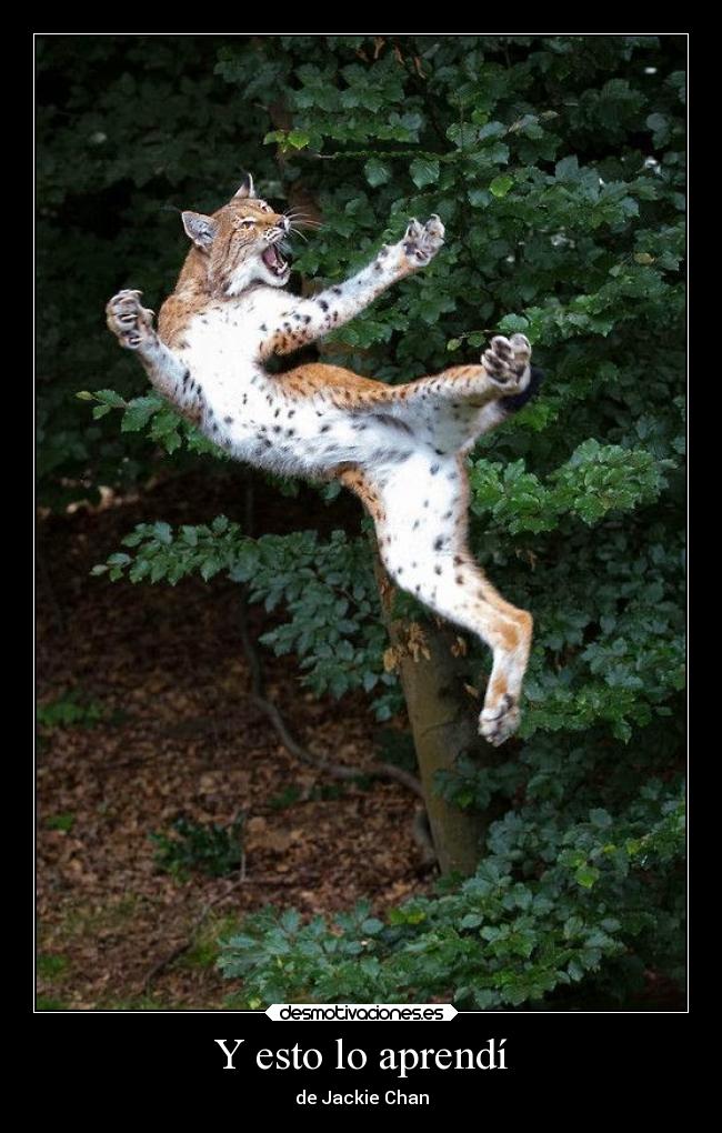 Y esto lo aprendí - 