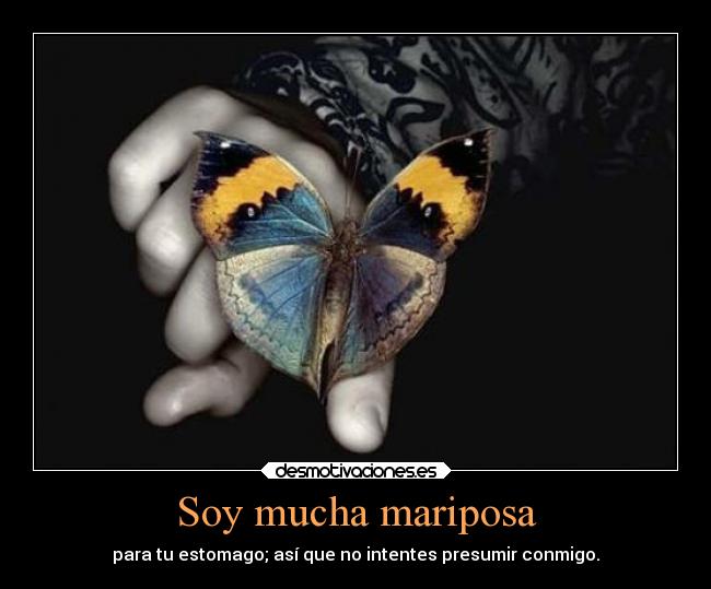 Soy mucha mariposa - 