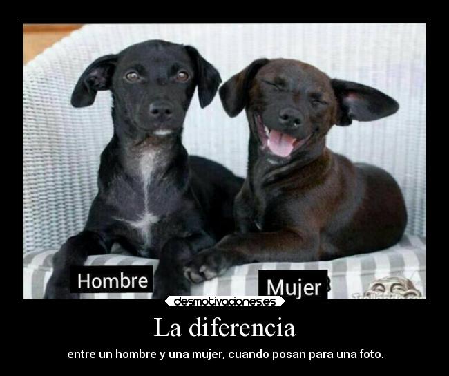 carteles hipster mujer desmotivaciones