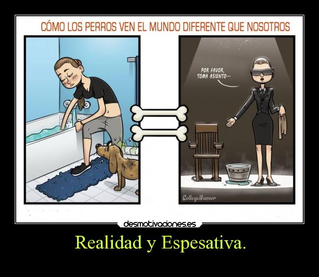 Realidad y Espesativa. -