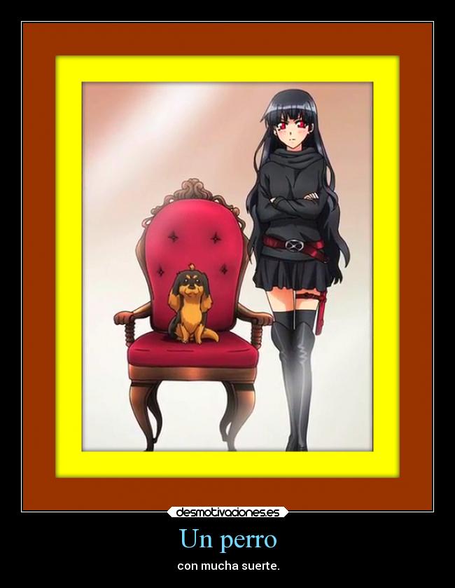 Un perro - con mucha suerte.