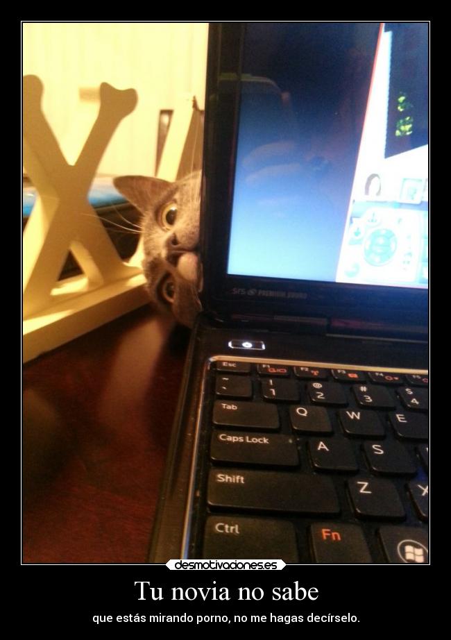 Tu novia no sabe - que estás mirando porno, no me hagas decírselo.