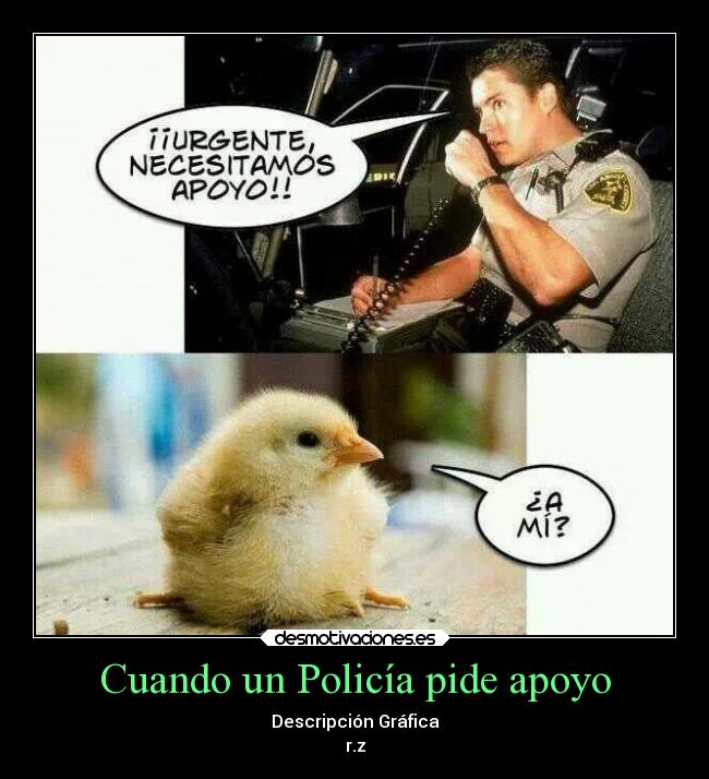 Cuando un Policía pide apoyo - Descripción Gráfica
r.z
