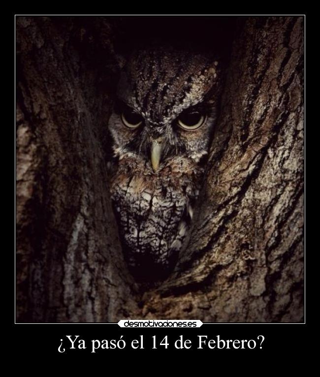 ¿Ya pasó el 14 de Febrero? - 