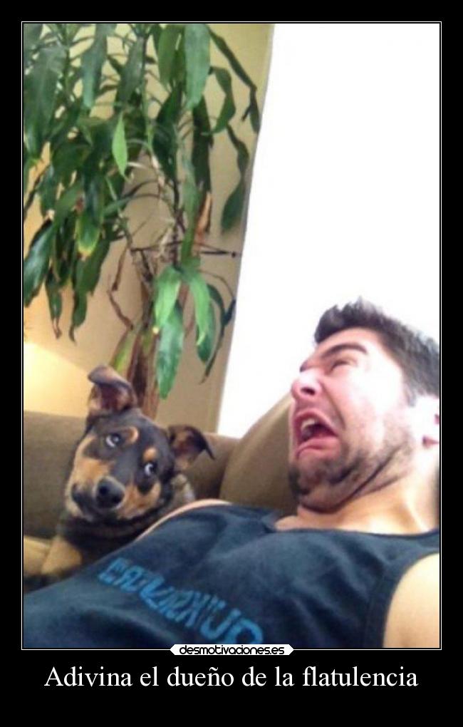 Adivina el dueño de la flatulencia - 